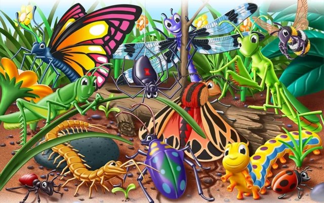 Colorful bugs gathered together